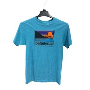 Patagonia Men's Teal Graphic Tee